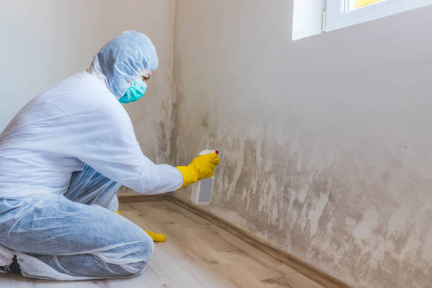 Licensed Mold Inspection And Testing service in New Windsor, MD - Mold Remediation HQ