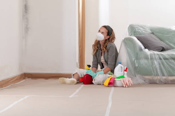 Reliable Mold Inspection And Testing contractor in New Windsor, MD by Mold Remediation HQ